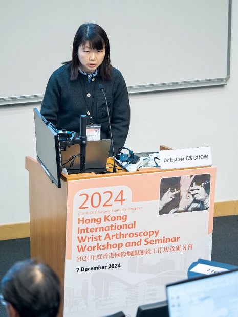 HK Wrist Course 2024- Seminar  - 76 of 257